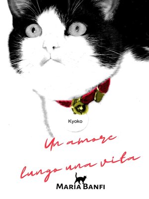 cover image of Un amore lungo una vita